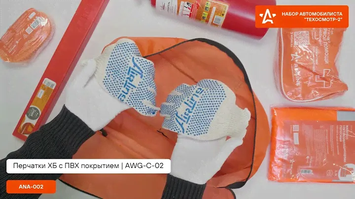 Набор автомобилиста "Техосмотр-2" | ANA-002 | AIRLINE